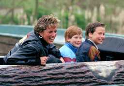 Ненавидел больше всего: принц Гарри рассказал о комплексах принца Уильяма в детстве (фото)