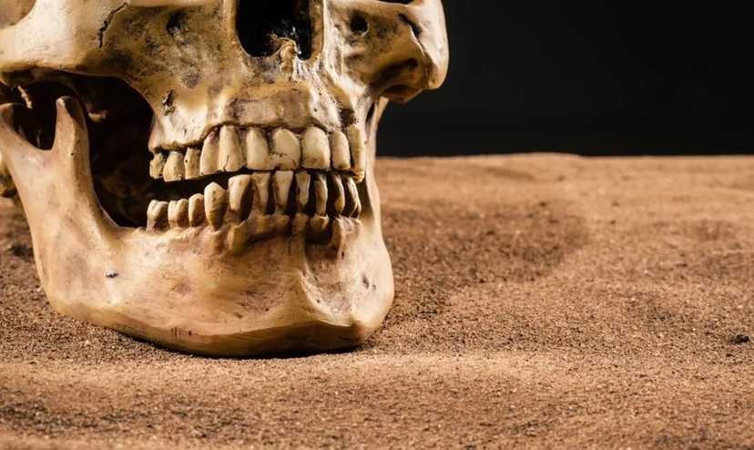 Кто изобрел первую зубную щетку и пасту: люди чистили зубы еще 130 тыс. лет назад