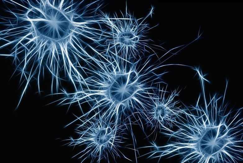 Защищает мозг от болезни Альцгеймера на 70%: ученые обнаружили новый вариант важного гена