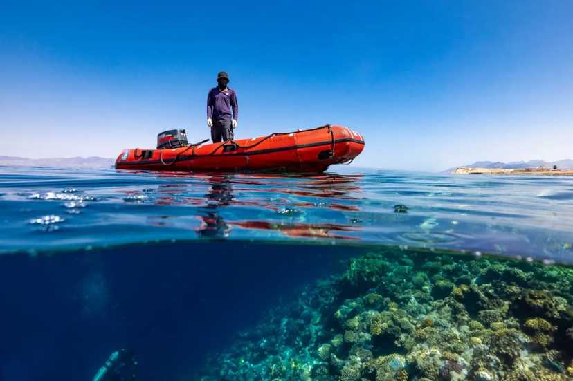 "Кипятильник" на дне Красного моря заставляет его кипеть: это спасет последний коралловый риф в мире