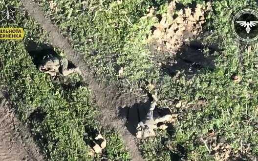 Soldiers of 47th SMB eliminate two Russian occupiers with one kamikaze drone in Avdiivka direction. VIDEO