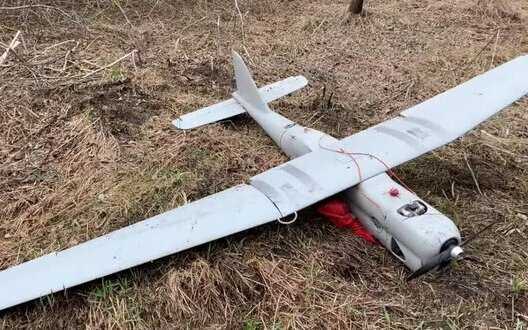 Air defense forces destroyed Orlan-10 Russian reconnaissance UAV over Dnipropetrovsk region - AC "East"