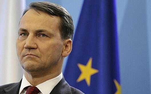 Allied Foreign Ministers to consider creation of NATO mission to support Ukraine - Sikorski