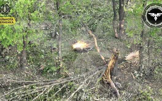 Ukrainian defenders discovered and eliminated occupier who was hiding behind trees. VIDEO