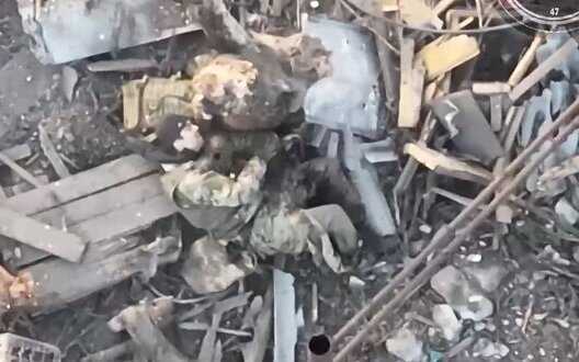 Occupier with severed leg dies near tree after Ukrainian drone attack. VIDEO 18+