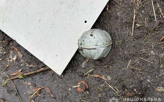 Ruscists mine Ukraine’s border with ball-shaped fragmentation bombs similar to "balls" - SES. PHOTOS