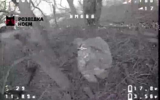 Ukrainian soldiers eliminate occupant who was hiding and relieving himself behind tree. ВIДЕО