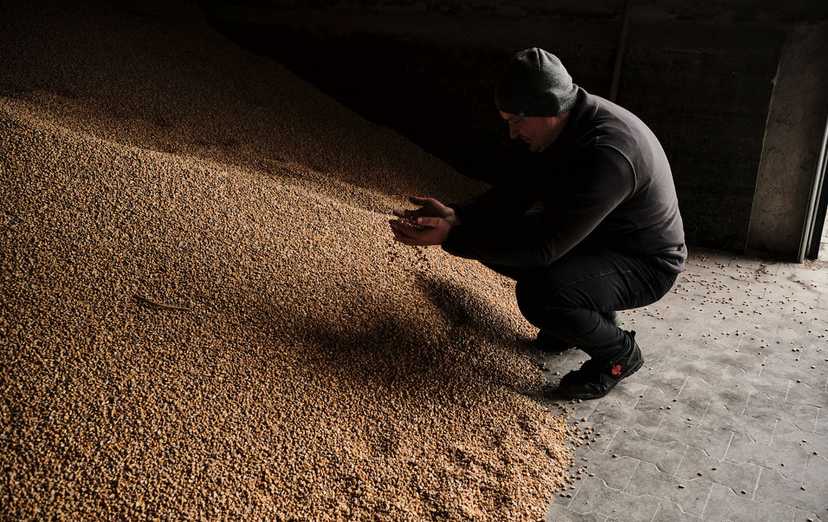 ЕС одобрил запретительные пошлины на российское зерно