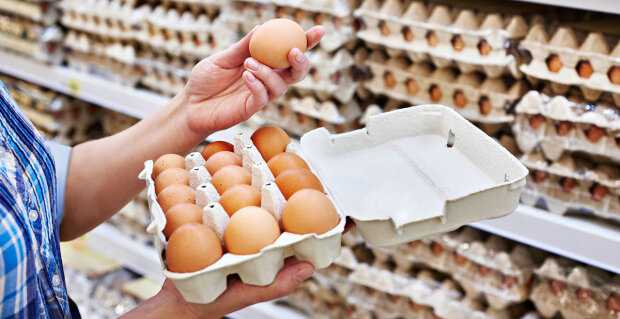 До 10 гривень знижки: українцям пропонують яйця за низькими цінами