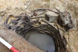 Технология людей бронзового века: археологи нашли деревянный колодец почти в идеальном состоянии