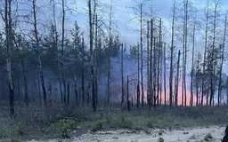 As result of Russian shelling near Lyman, 300 hectares of forest are burning