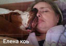 Живодерка из Одессы "сколотила" состояние на мучениях домашних животных: волонтеры, увидев её дом, не спали неделю